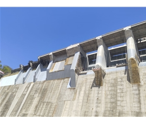 T127無(wú)溶劑刮涂聚脲膩?zhàn)用芊饽z